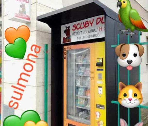 Esempio dalla galleria fotografica di SCUBY-DU