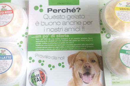 Esempio dalla galleria fotografica di SCUBY-DU