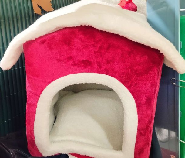 Esempio dalla galleria fotografica di SCUBY-DU