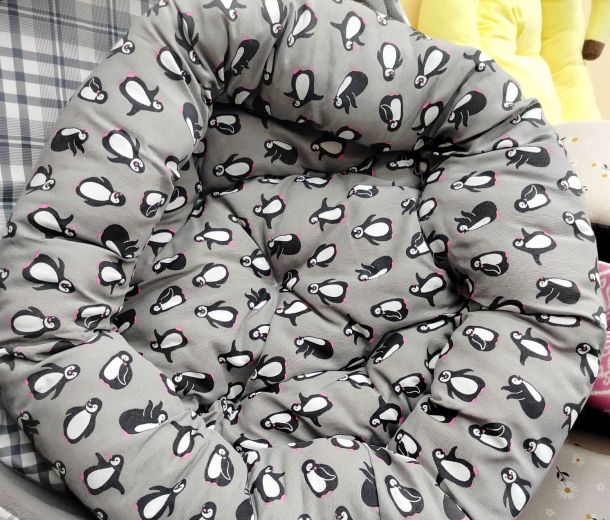 Esempio dalla galleria fotografica di SCUBY-DU