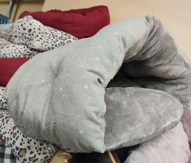 Esempio dalla galleria fotografica di SCUBY-DU