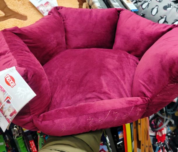 Esempio dalla galleria fotografica di SCUBY-DU